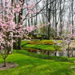 Preparer-jardin-printemps